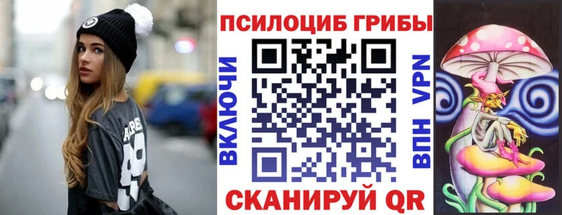 Псилоцибиновые грибы мицелий  как найти   Батайск 